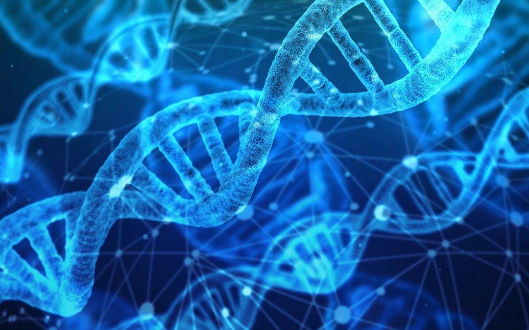 Maßnahmen und Aktuelle Hinweise zum Corona-Virus bei Amara Yoga