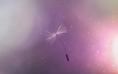 Maßnahmen und Aktuelle Hinweise zum Corona-Virus bei Amara Yoga