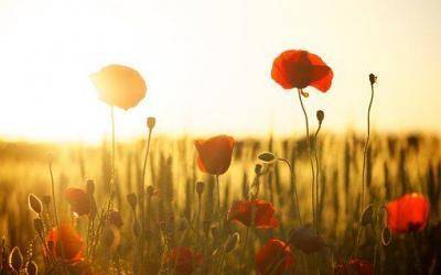 Wir freuen uns von Herzen auf DICH